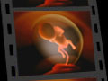 Fetus Morph Animation